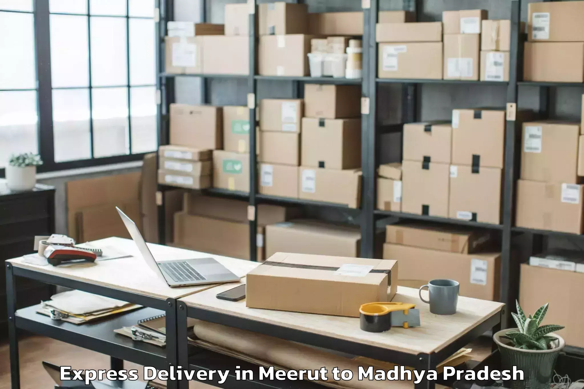 Leading Meerut to Nasrullaganj Express Delivery Provider